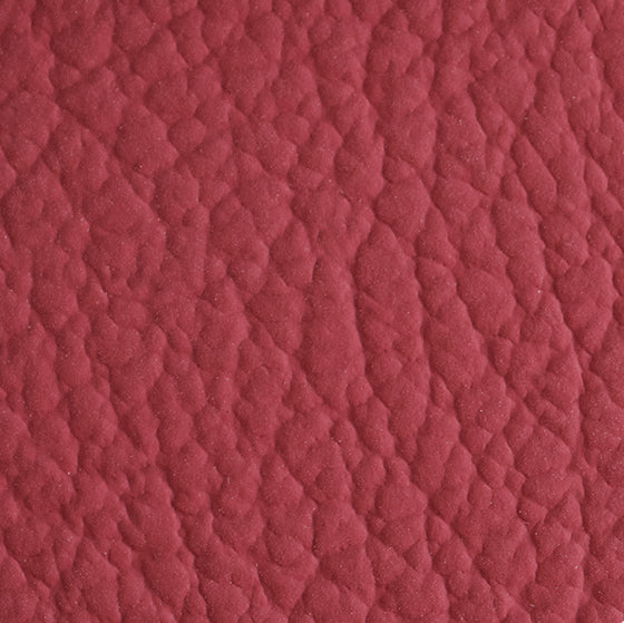 Standard Leather - Rosso Germania Hide