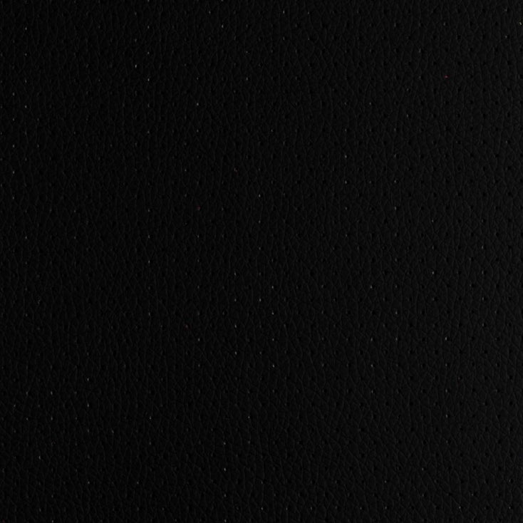 PO2 Black Perforated
