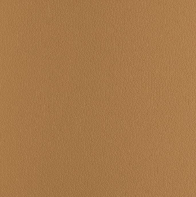 PO2 Tan13