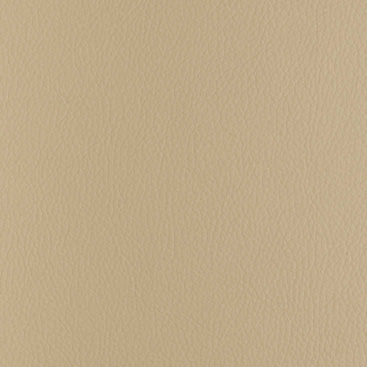 Voyager Ivory