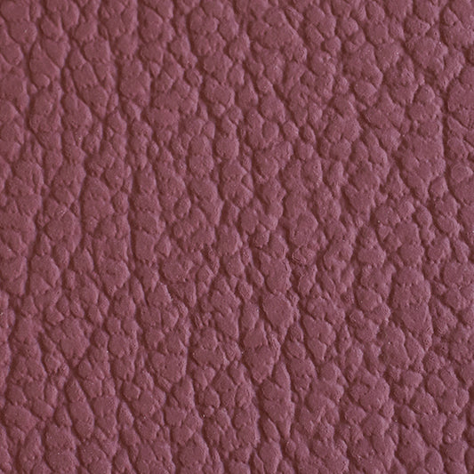 Standard Leather - Rosso BMW Leather