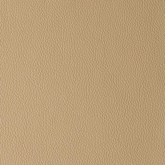 Arizona Beige