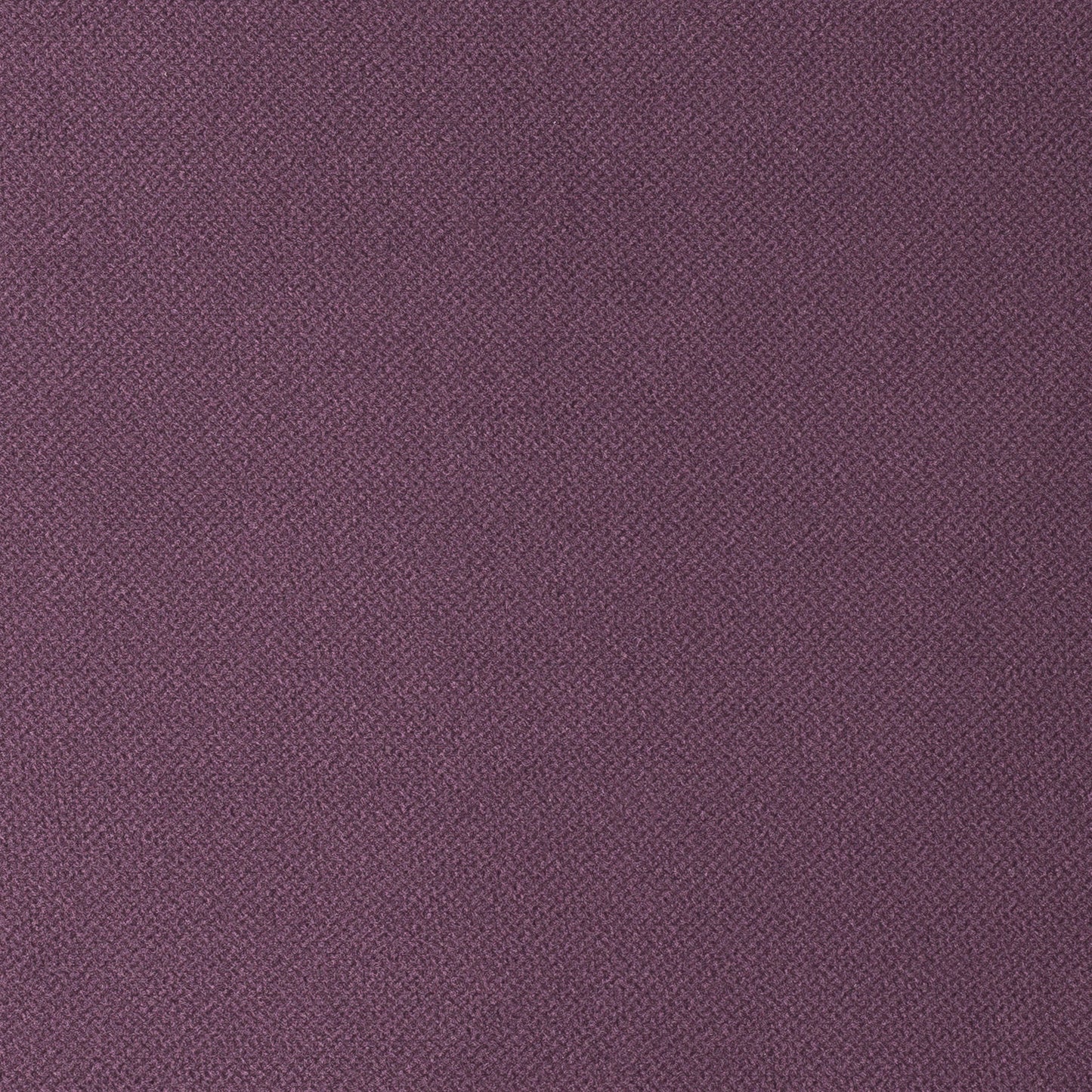 Fox Purple