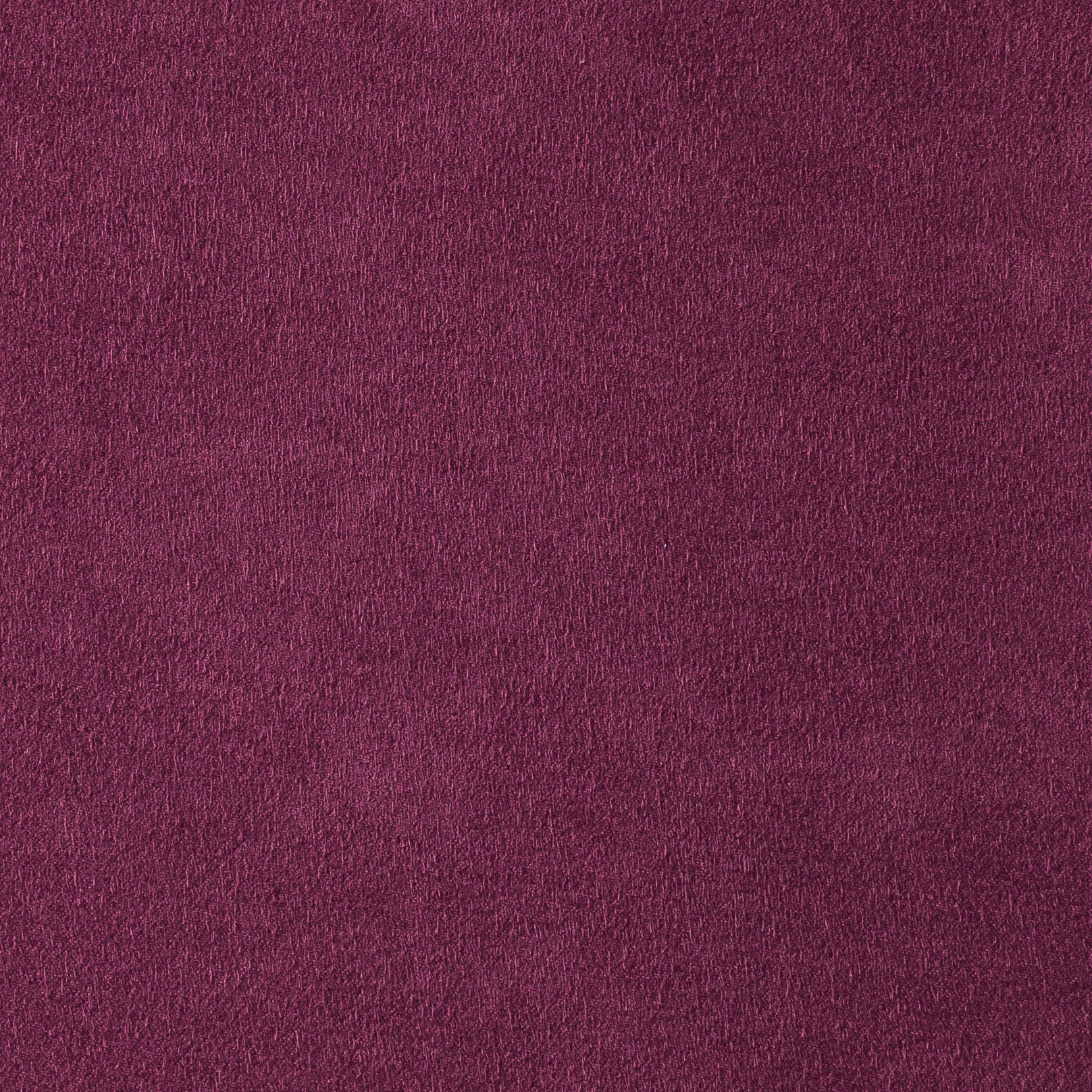 Munich Purple
