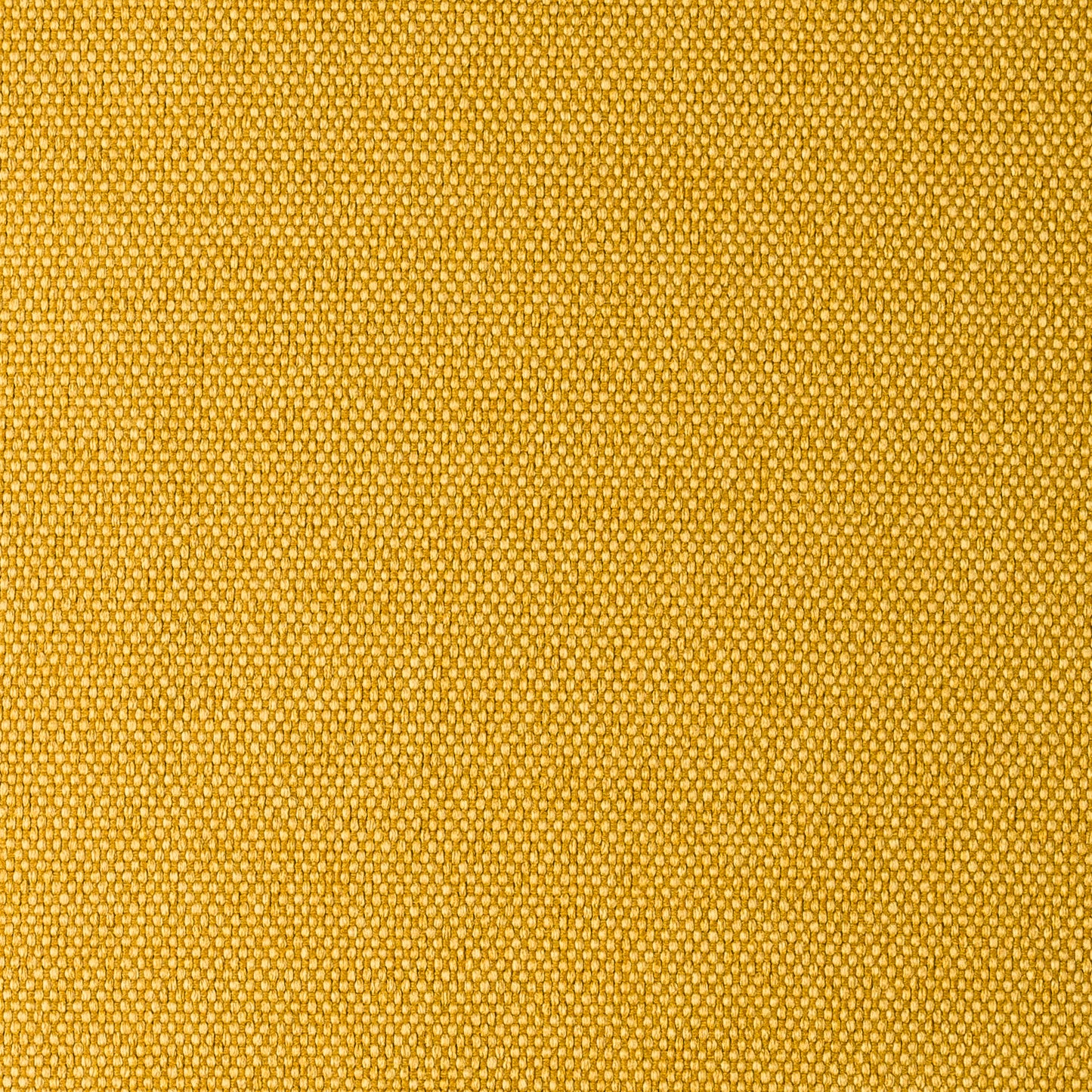 Musa Yellow