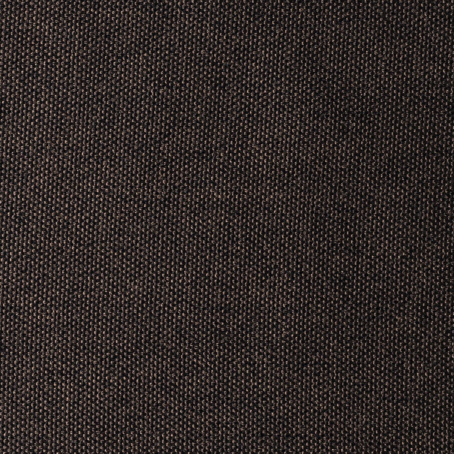 Musa Dark Brown