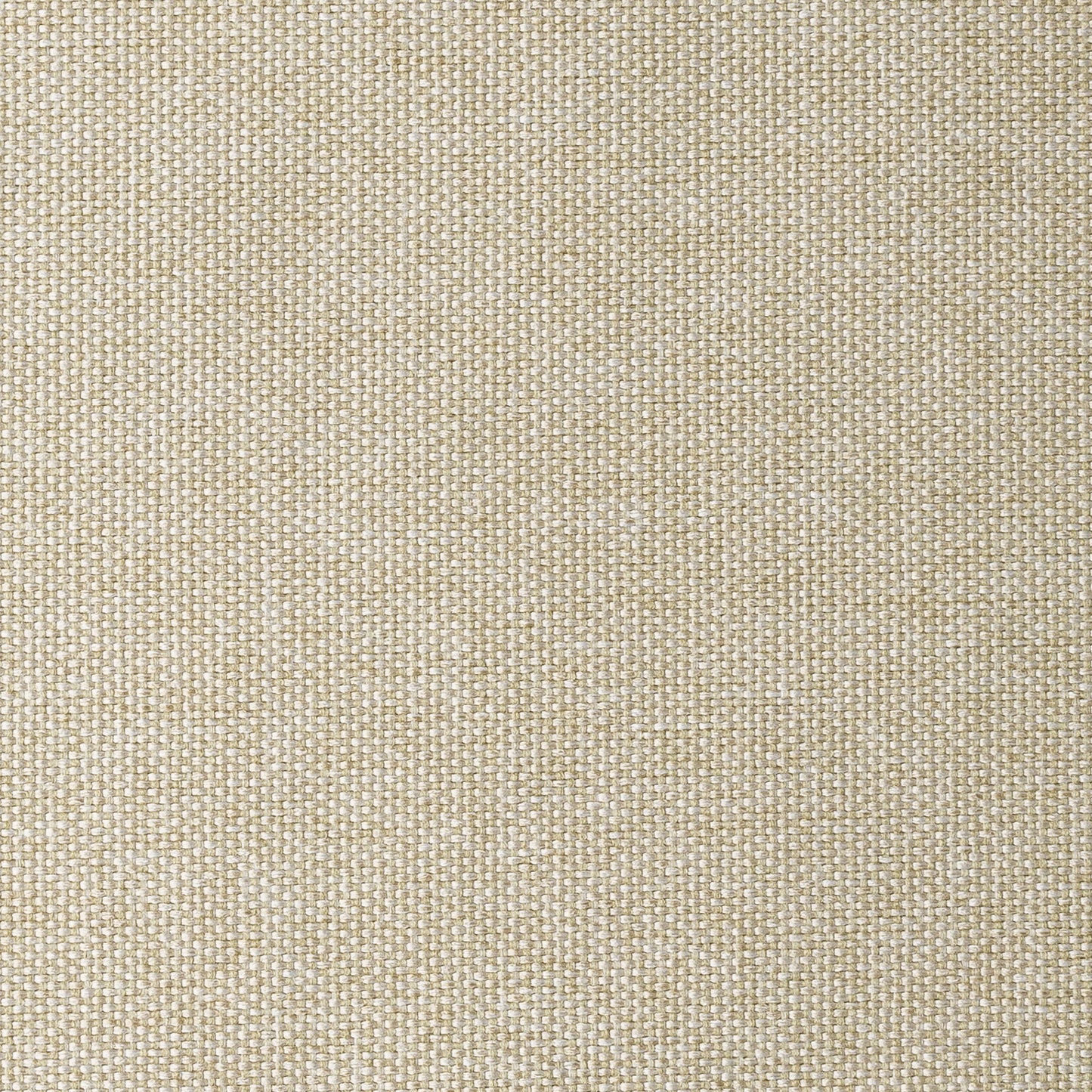 Musa Beige