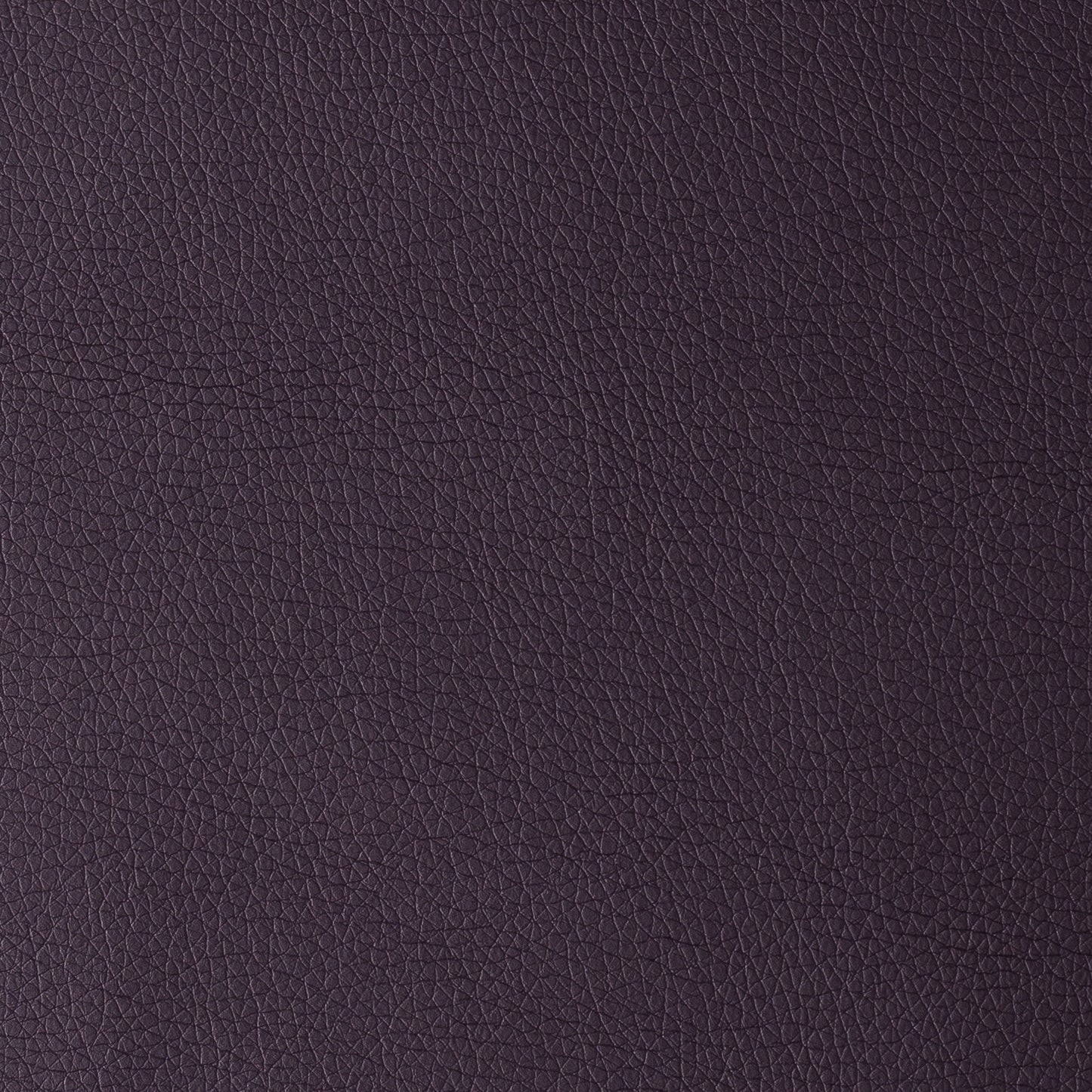 Uruguay Purple