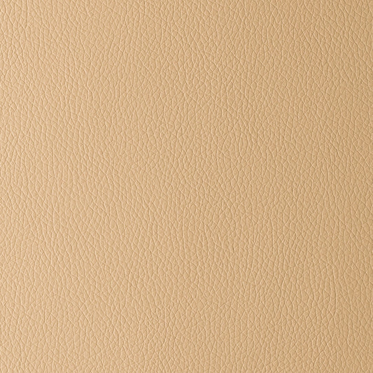 Omega Camel